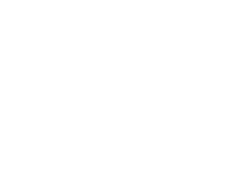 Logo BOSS Creator
